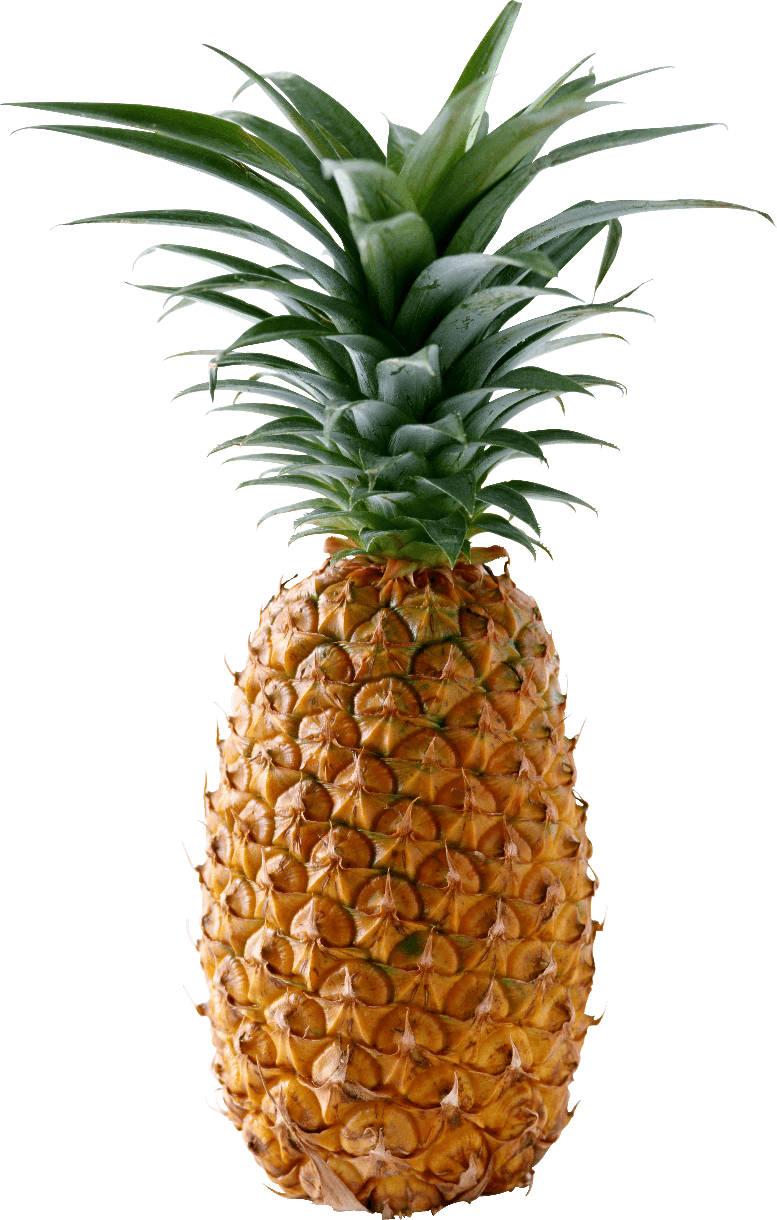 Pineapple Png Transparent Images (black)