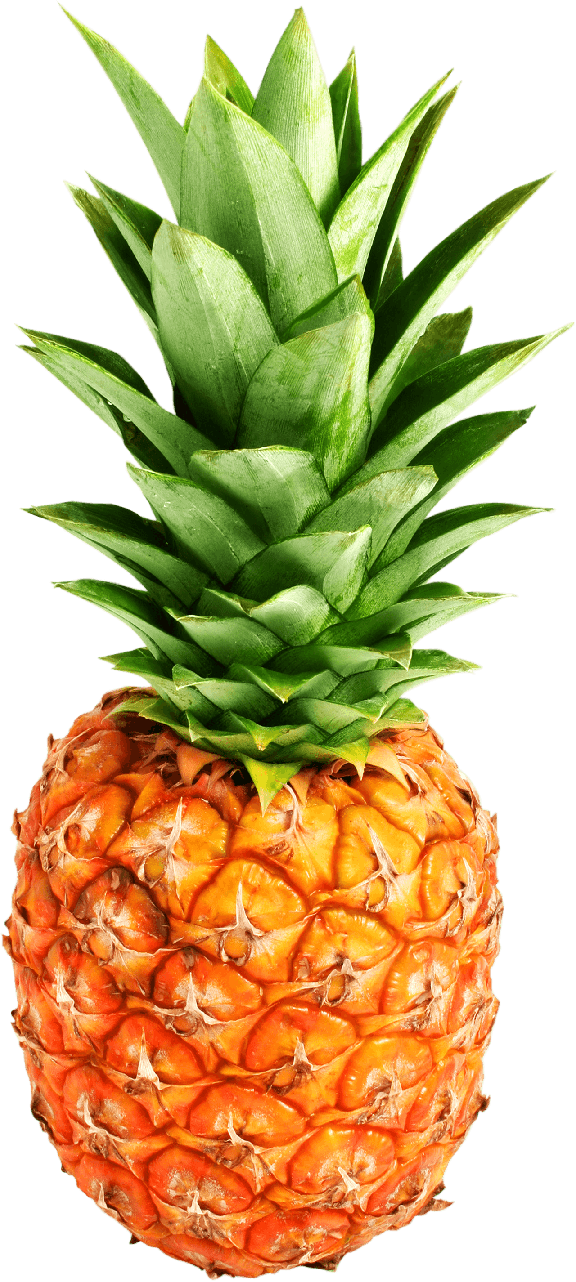 Pineapple Png Transparent Photo (black, gray)