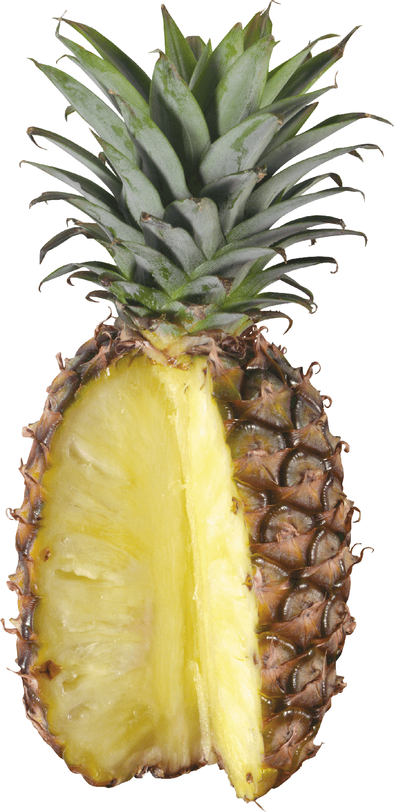 Pineapple Png Transparent (black, beige)