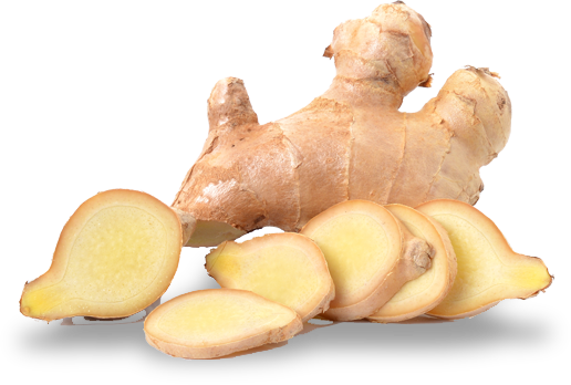 Ginger Png File (black, beige, white)