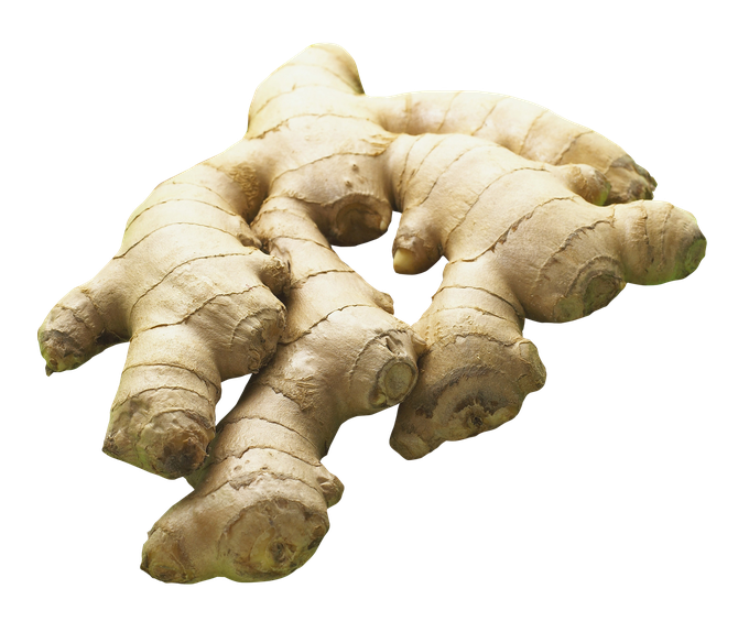 Ginger Transparent Background (black, beige)