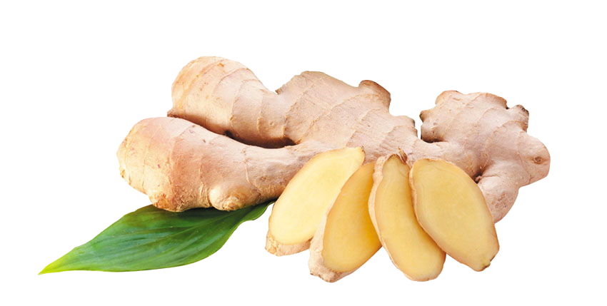 Ginger Transparent Png (beige, pink, white)