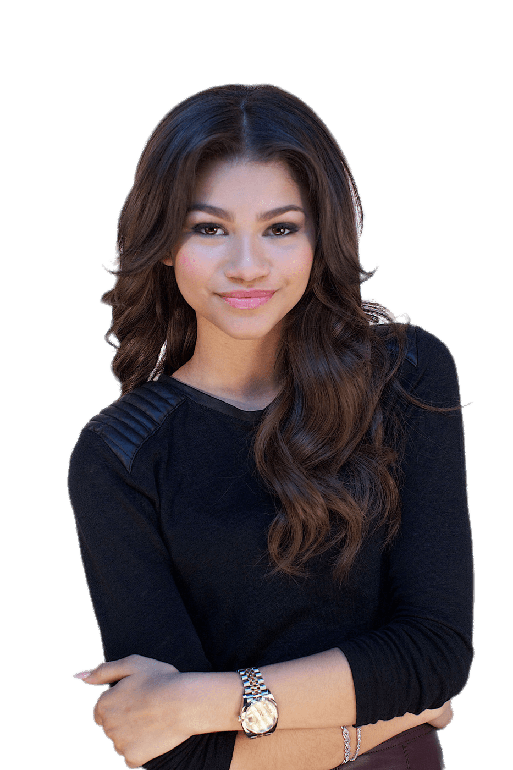 Singer Zendaya Png Hd (black, gray)