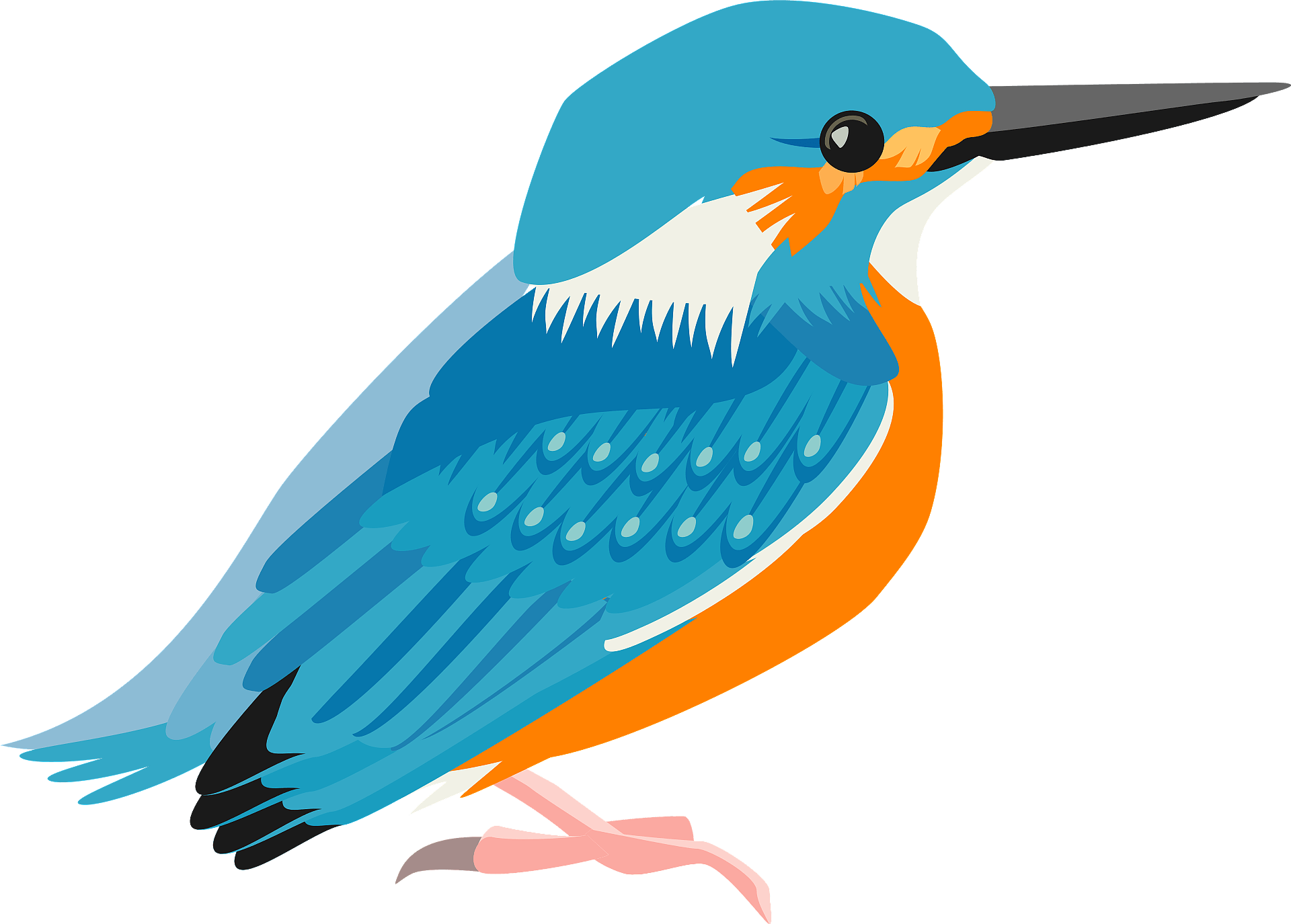 Kingfisher Bird Beak Png Transparent Image (gray, silver, beige, teal, orange)