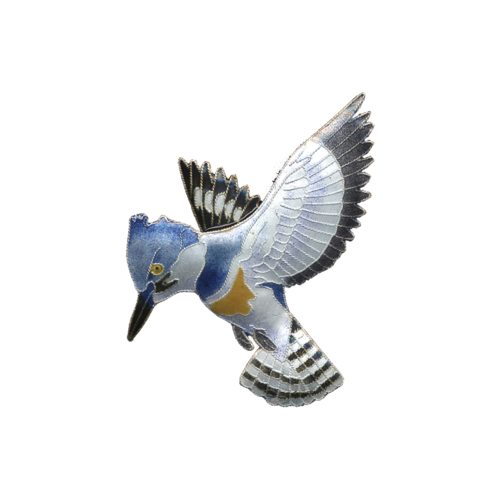 Kingfisher Bird Png File (white, gray, black)