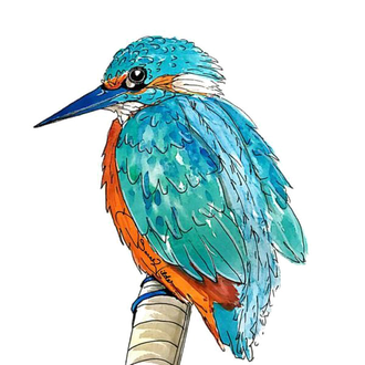 Kingfisher Png Transparent Picture (white, gray, black)