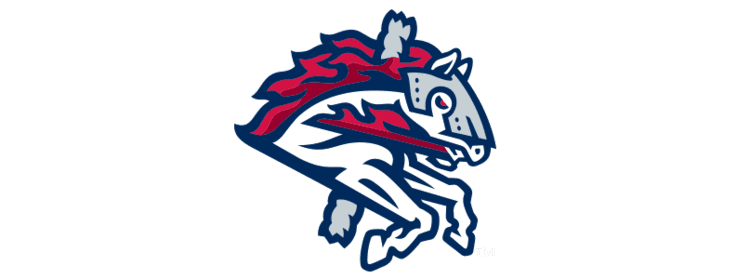 Binghamton Rumble Ponies Png Hd (white, teal, gray, navy)