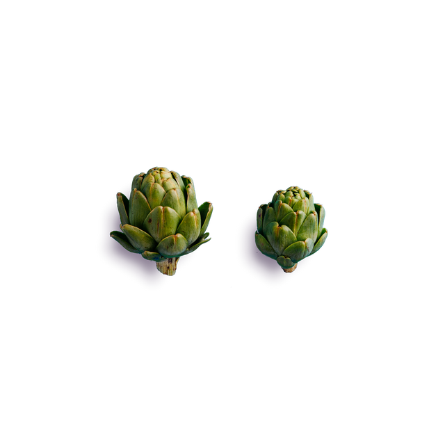 Single Artichoke Png Clipart (black)