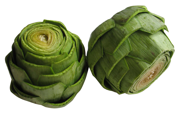 Single Artichoke Png Transparent Image (black, green)