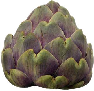 Single Artichoke Transparent Background (black)