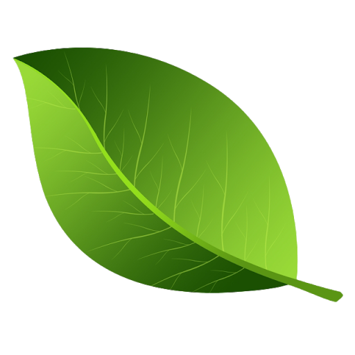 Single Green Leaves Png Pic (black, green, olive)