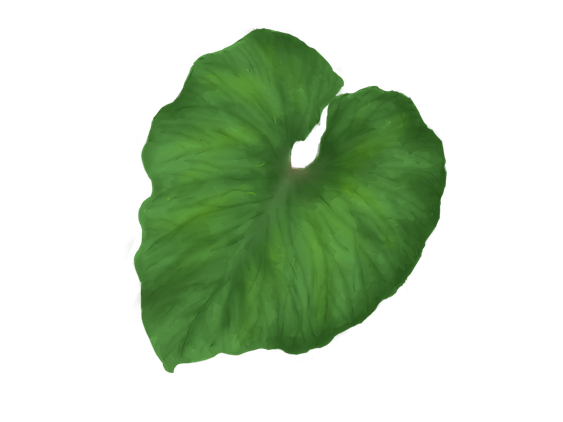 Single Green Leaves Png Transparent Image (black, green, olive)