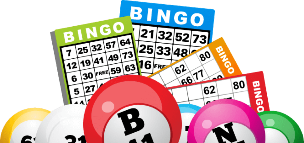 Bingo Transparent Background (white, salmon, lavender, black)