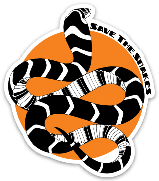 Kingsnakes Png Hd Isolated (white, orange, chocolate, black)