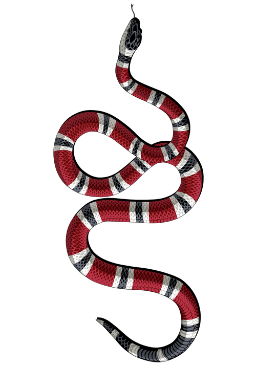 Kingsnakes Png Isolated Photo (black)