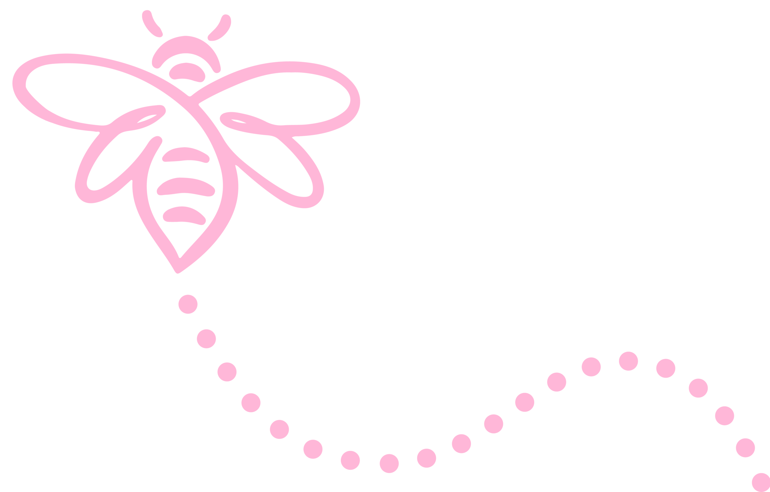 Pink Bee Trail Path Png (black, pink)