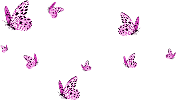 Pink Butterfly Png Photos (black)