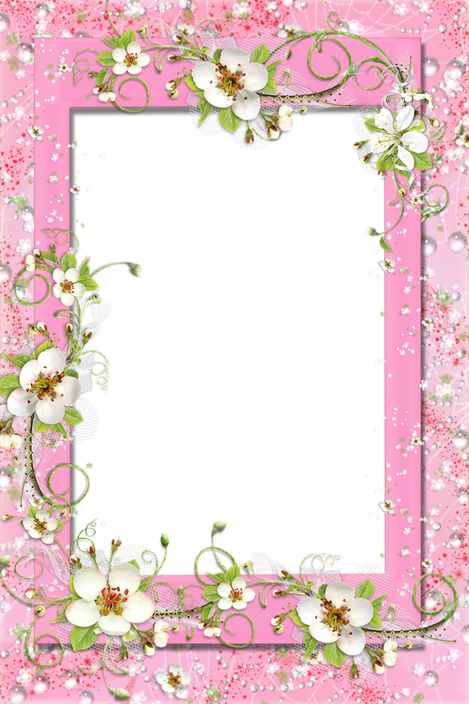 Pink Frame Png Image (black, pink, white, plum)