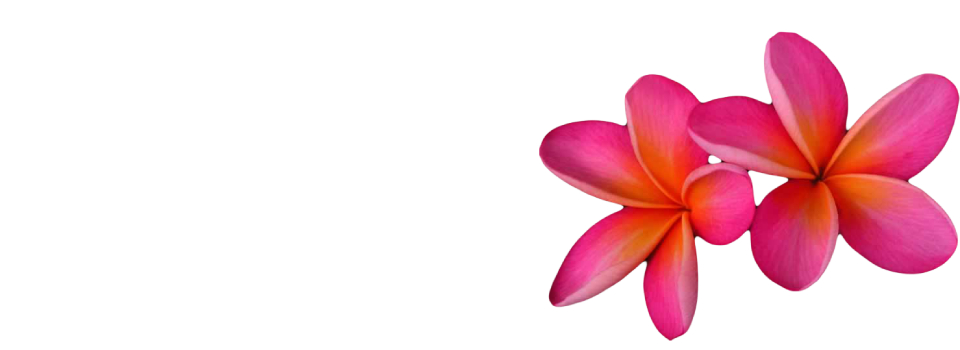 Pink Frangipani Flower Png Image (maroon, purple, black)