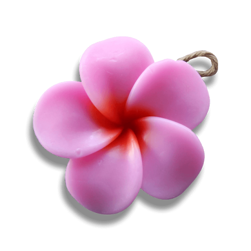 Pink Frangipani Flower Transparent Png (plum, lavender, gray, black)