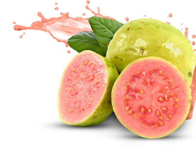 Pink Guava Png File (pink, white, salmon, black)