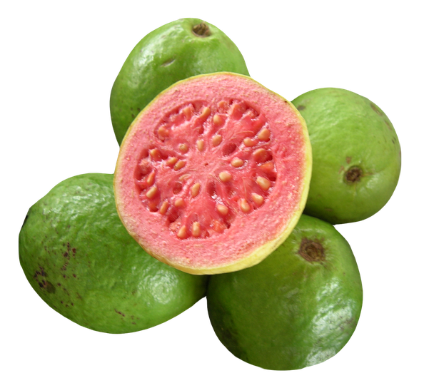 Pink Guava Transparent Background (olive, black)