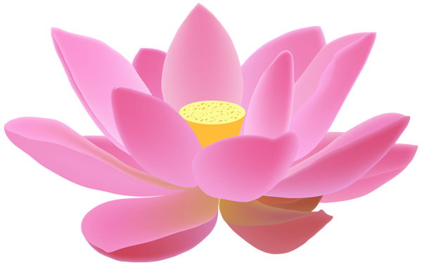 Pink Lotus Flower Png Image (white, plum)