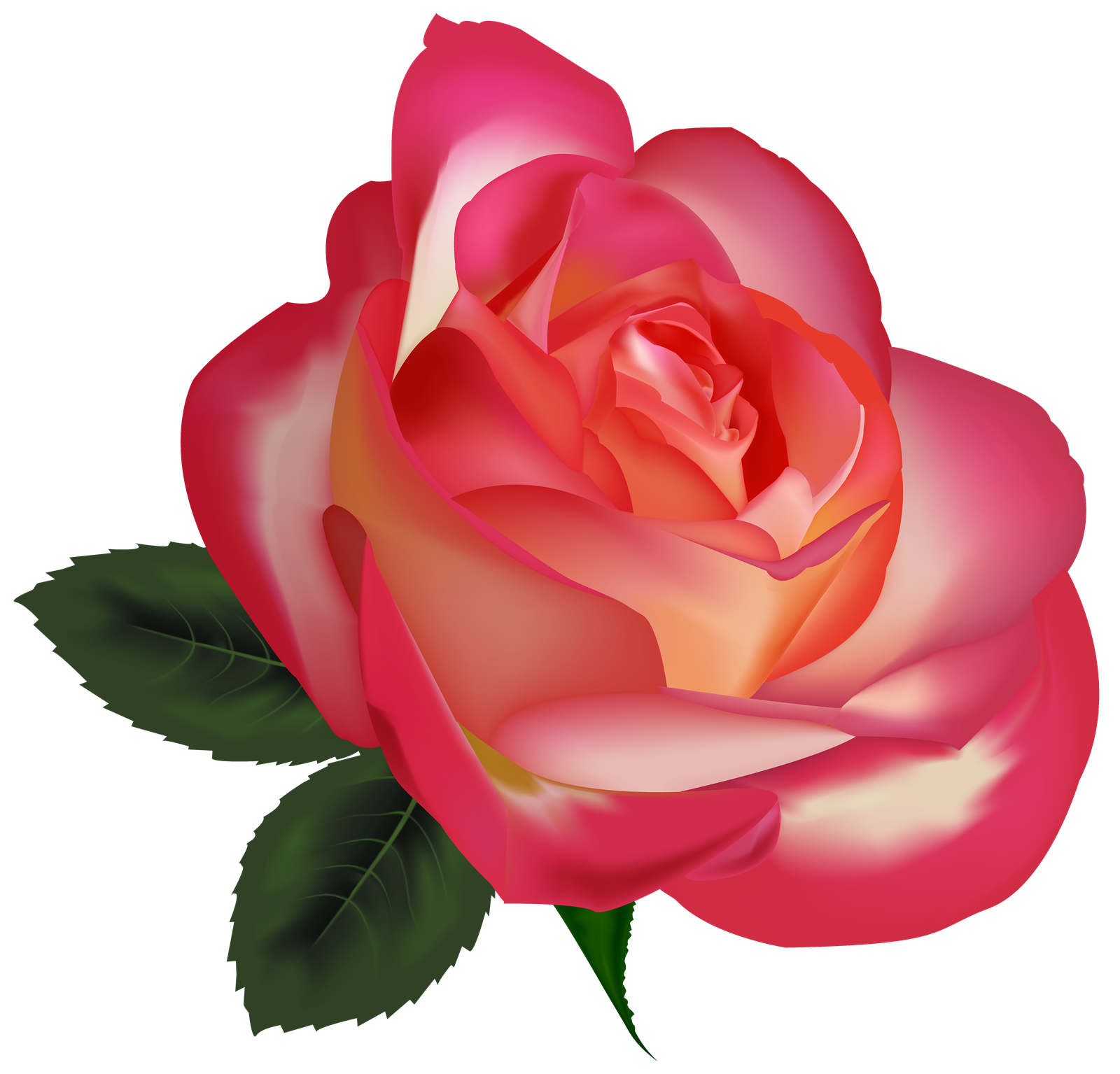 Pink Rose Flower Png File (green, black, chocolate)