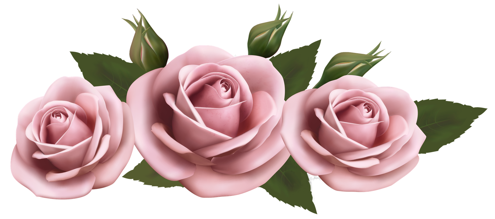 Pink Rose Flower Png Pic (green, black, olive)