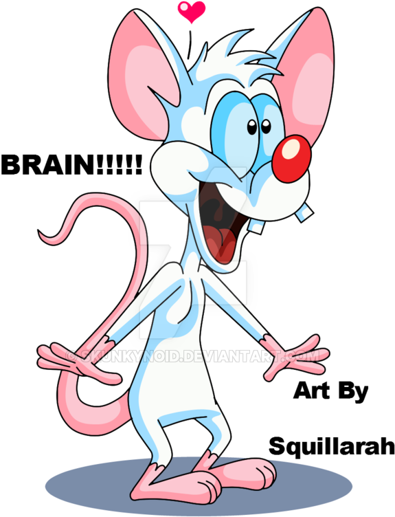 Pinky And The Brain Download Png Image (black, pink, white, gray)