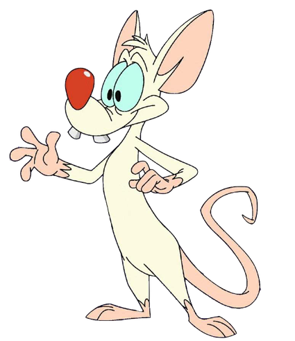 Pinky And The Brain Png Picture (black, pink, chocolate, mint, beige)