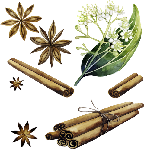 Cinnamon Png Photos (black)