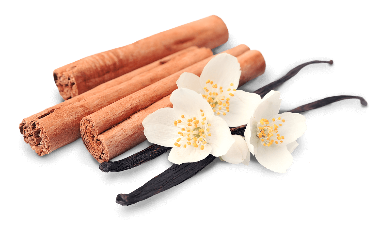 Cinnamon Stick Transparent Png (black)