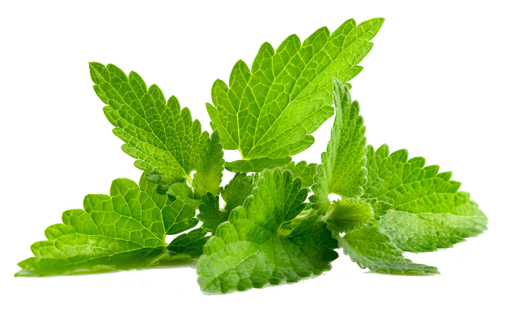 Mint Leaves Png Hd Isolated (olive, black)