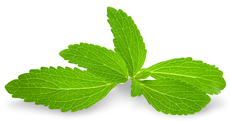 Mint Leaves Png Isolated Hd (white, olive, black)