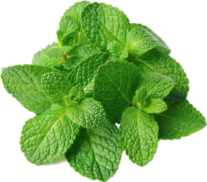 Mint Leaves Png Isolated Image (green, gray, black)