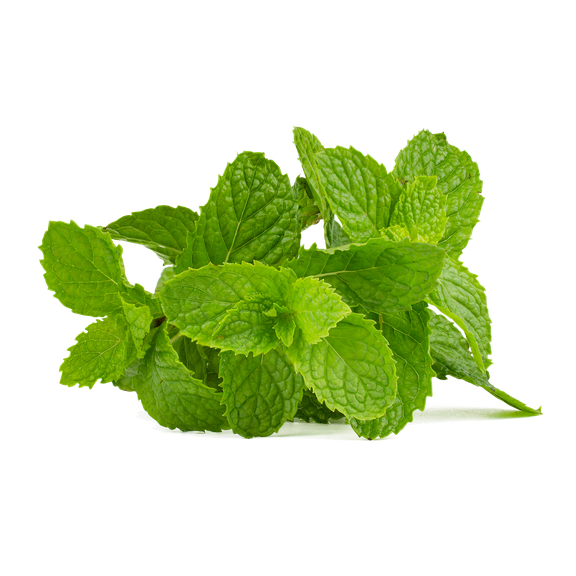 Mint Leaves Png Isolated Photo (olive, black)