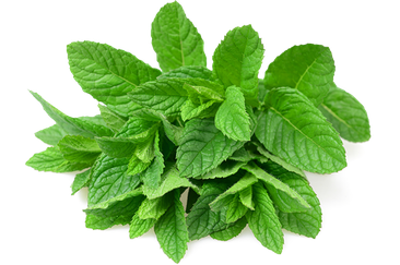 Mint Leaves Png Photo (white, silver, black)