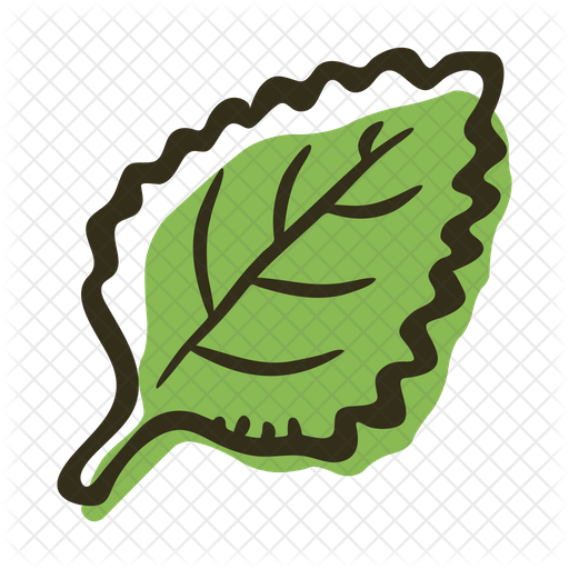 Mint Leaves Png Photos (indigo, gray, black)