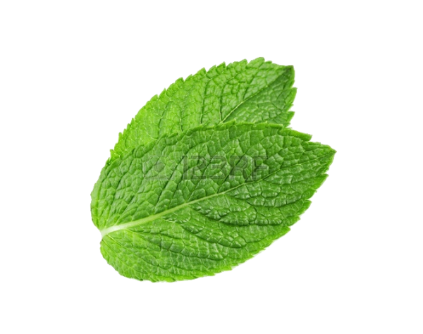 Mint Leaves Png Picture (olive, black)