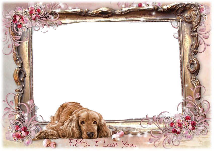 Vintage Frame Png Image (white)