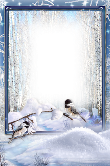 Winter Frame Png Clipart (black, gray, silver, white)