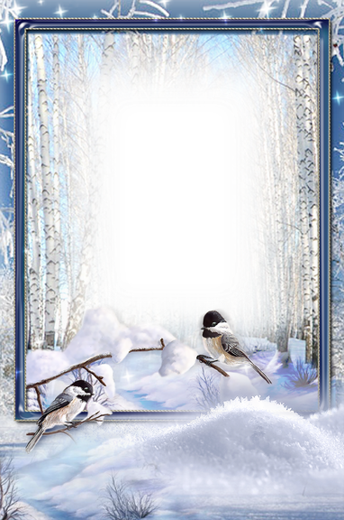 Winter Frame Png Picture (indigo, black, silver, lavender)