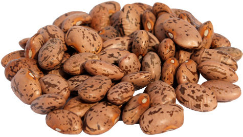 Pinto Beans Png Hd (black, gray, salmon, chocolate)