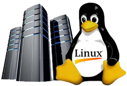 Linux Hosting Png File (black, white, silver)