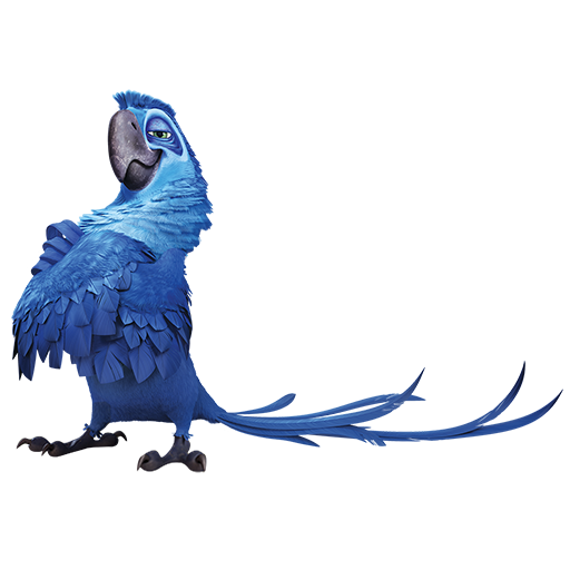 Rio 2 Png Photo (gray, silver, teal, white)