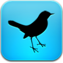 Piohousing Twitter Bird Animal Free Png Icon Download (silver, greenish blue, black, mint)