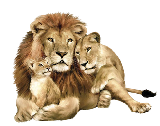 Lion Download Png Image (maroon, silver, black)