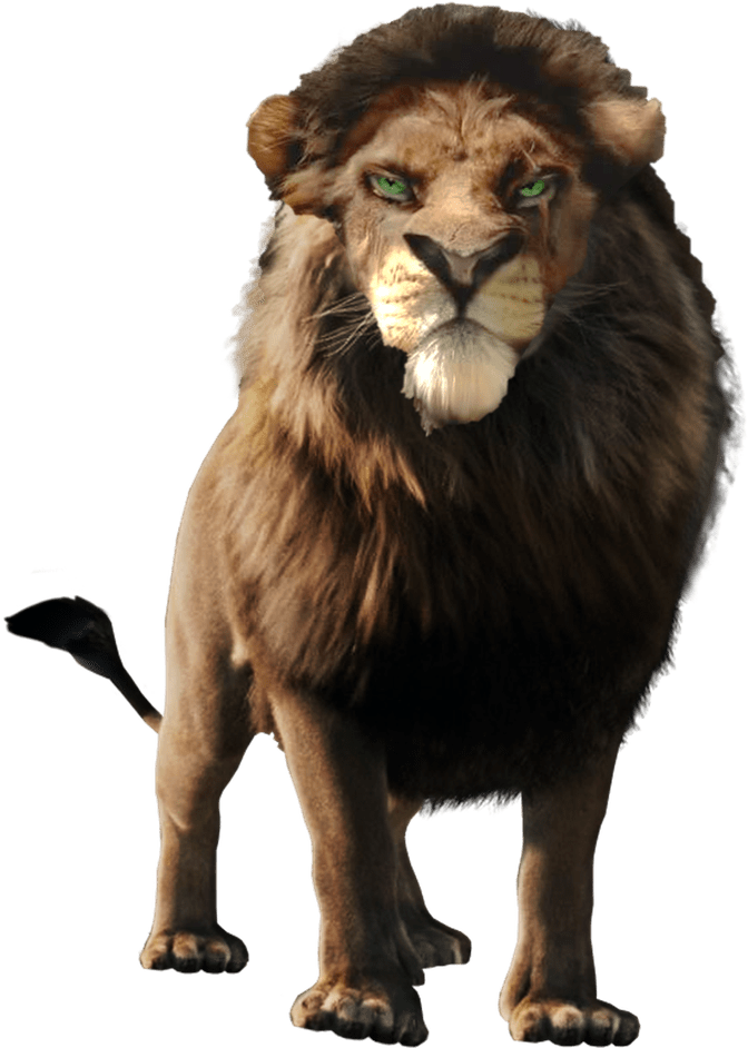 Lion King Png Isolated Hd (black)