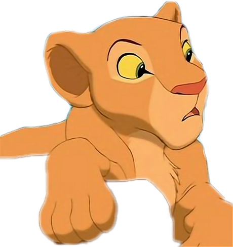 Lion King Png (black, salmon)